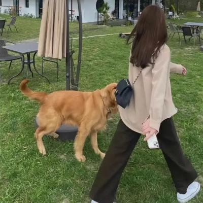 乒乓 （短片）